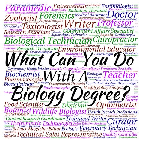 What to do with a biology degree. Things To Know About What to do with a biology degree. 
